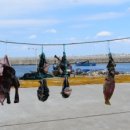 초곡1리마을회관 이미지