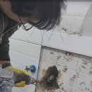 한길인테리어 이미지