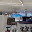 [일본생활] 일본생활 4년차 일본 신용카드 추천 | 일본 신용카드 혜택 | 일본 신용카드로 ANA 마일리지...