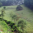 오반목장 이미지