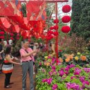 (주) 수퍼트리 | 여행_둘째 날 <싱가포르 플라이어>/<머라이언파크>/<가든스바이더베이>/<송파바쿠테>/<슈퍼트리쇼> (2/8)