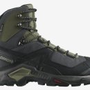 살로몬 퀘스트 엘리먼트 GTX (블랙/딥 리첸 그린/올리브 나이트) 리뷰 🌲👟 후기 착화감 가격 사이즈 팁
