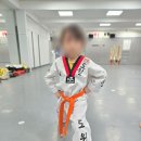 도원태권도장 이미지