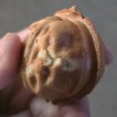 용문역 | 대전 서구 호두과자 맛집｜용문역 하르당 호두과자 후기