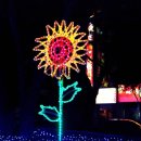 거북공원 이미지