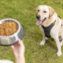 수제산업동물병원 이미지