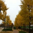 수려한우2 이미지