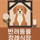포포즈 반려동물장례식장 부산점 | 김해 반려동물 장례식장 - 포포즈 부산점 후기