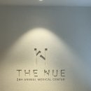 신화동물병원 | 부산 더휴동물병원 강아지스케일링 및 발치 후기