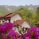 대둔산로 이미지