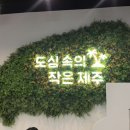 쥬씨상암 | 상암 아이와 가기 좋은 브런치 / 마포 제주도 느낌 브런치 : 제주스 홈플러스 상암월드컵점
