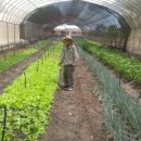 서금석농장 이미지