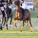 폴로(POLO)관광호텔 이미지