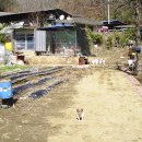 박곡농장 이미지