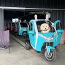 우도 전기차 '파미' 내돈내산 탑승후기(예약방법, 우도 배타는법, 선착장 픽업방법 등)