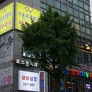 서윤피부맑음 수내점