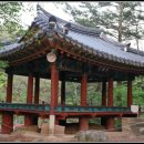 영주 금광리 심원정 이미지