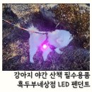 (야간) 가죽 공예 | 강아지 LED 인식표 목걸이 가죽 펜던트 추천
