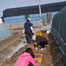 한태희농장 이미지