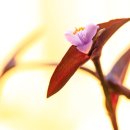 자주가든 이미지