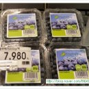 박종상농장 이미지