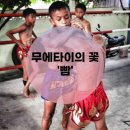 UFC 국제 GYM 이미지