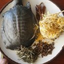 이시돌선생의 약선도가 이미지