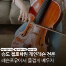 송도 첼로 학원, "진작 배울걸" 후기 가득한 레슨포유의 특별한 비밀