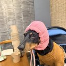 이화 | [울산/서생] 울산서생맛집 상견례 한정식이 유명한 서생이화 솔직후기