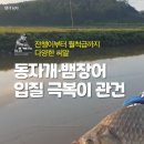 도서출판 자은