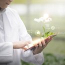 관음포연꽃마을협동조합 이미지