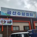 금산인삼농업협동조합 | 🚗 금산수삼센터 인삼 구매 후기, 명절에 시골 갈 때 최고의 선물 [내돈내산]