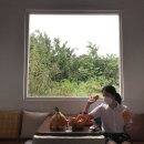 대섬농장 네이버블로그