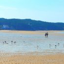 노을에 기댄 언덕 이미지