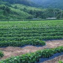 격포채석강카공업사 | [변산반도 탐방] 서해 낙조를 품은 차박 명소 – 격포 해변과 채석강 일대