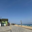 A145 | 강릉 캠핑장 연곡해변솔향기캠핑장 명당 A140 후기