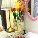 낫투스윗 이미지