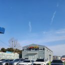 독스타 | 화성애견카페 독스타 후기
