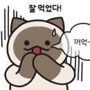 충남막창 네이버블로그