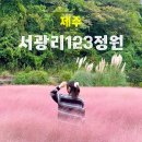 서광리-11 | 제주 서쪽 10~11월 핑크뮬리 명소 서광리123정원