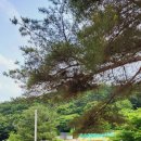 소설악가족캠핑장