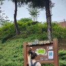 도덕산, 구름산 정상길 | 도덕산 출렁다리 등산 코스 (철산역~밤일마을)