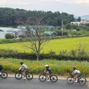 주남저수지 이미지