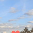 소로3-40 이미지