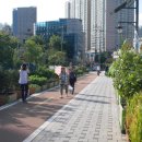 주정차-41 이미지