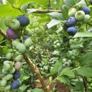 우석농장 이미지