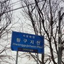 오목천교 | 수원 걷기 좋은 황구지천 트레킹 후기 겨울철 낭만과 건강
