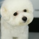 피엔피PC 이미지