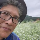 북천마을 Daum카페