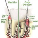 강화 탑치과의원 이미지
